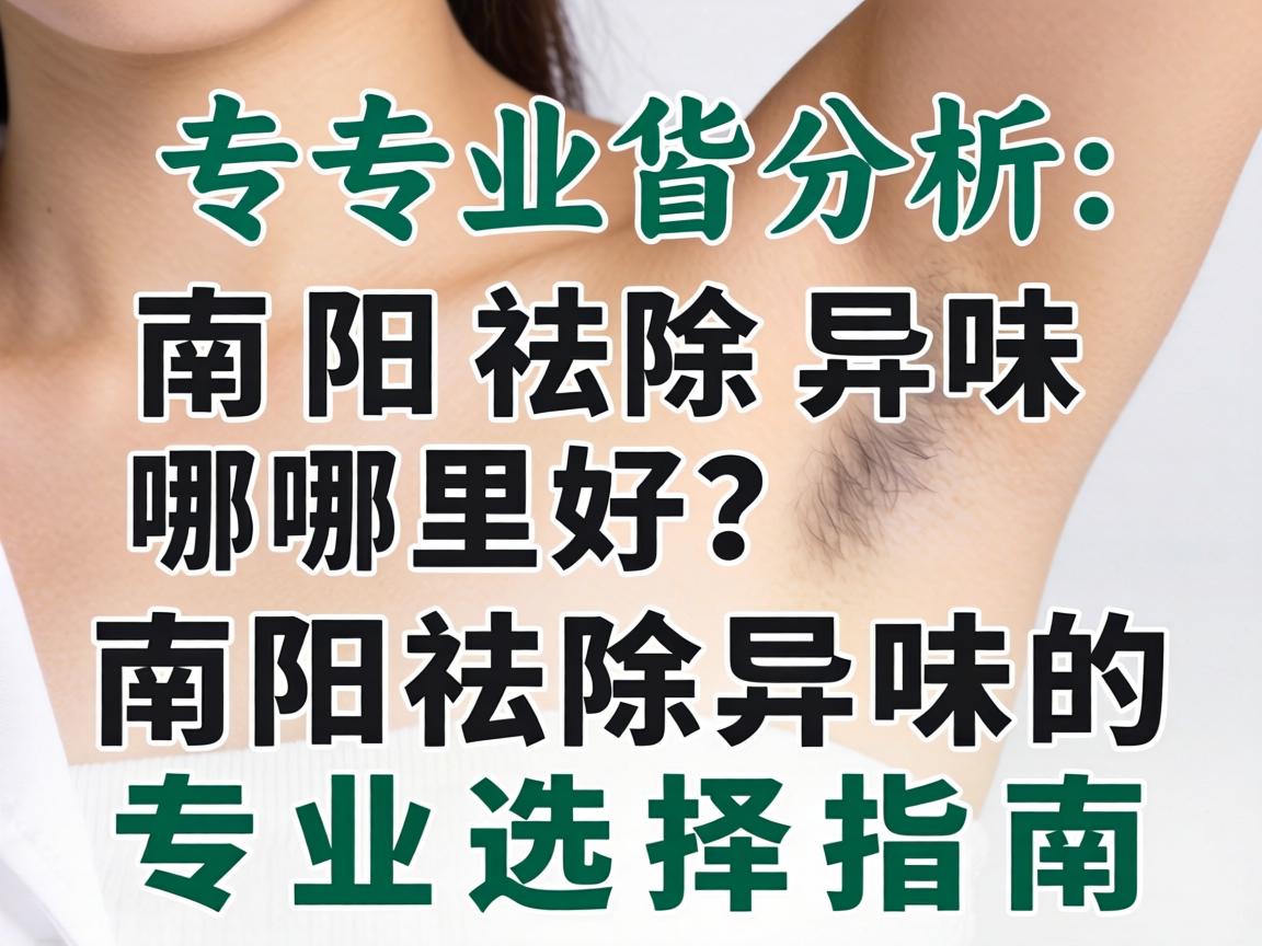 专业解析,南阳祛除异味哪里好?南阳祛除异味的专业选择指南 专业解析,南阳祛除异味哪里好?南阳祛除异味的专业选择指南